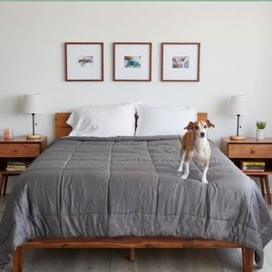 Gray Eucalyptus Lyocell comforter - Queen